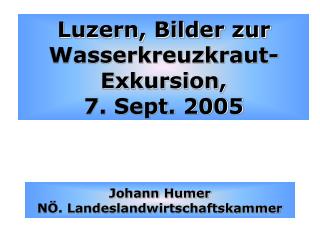 Luzern, Bilder zur Wasserkreuzkraut-Exkursion, 7. Sept. 2005
