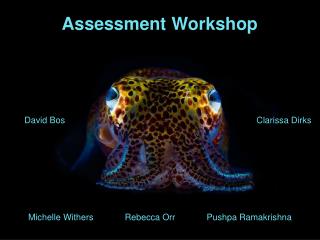 Assessment Workshop