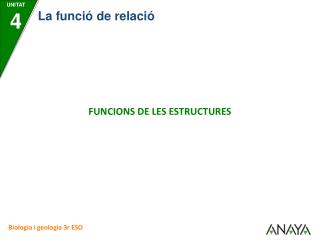 FUNCIONS DE LES ESTRUCTURES