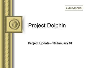 Project Dolphin