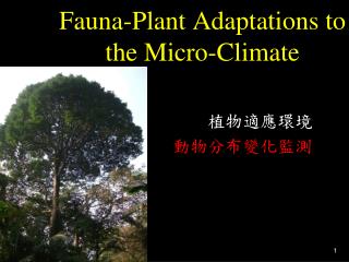 Fauna-Plant Adaptations to the Micro-Climate