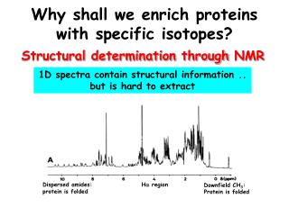 Why shall we enrich proteins with specific isotopes?