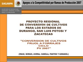 Apoyos a la Competitividad por Ramas de Producción 2007