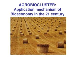 AGROBIOCLUSTER: Application mechanism of Bioeconomy in the 21 century