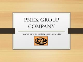 PNEX GROUP COMPANY