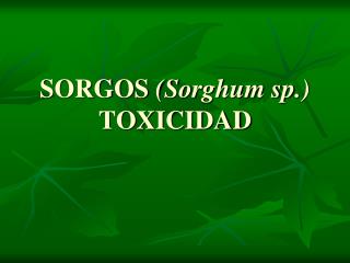 SORGOS (Sorghum sp.) TOXICIDAD