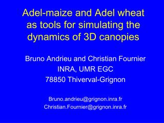 Adel-maize and Adel wheat as tools for simulating the dynamics of 3D canopies