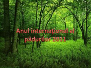 Anul internaţional al pãdurilor 2011