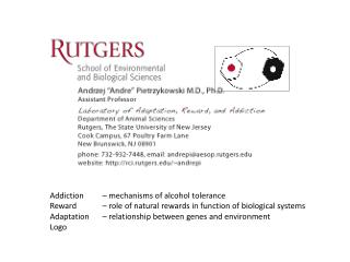 Addiction 	– mechanisms of alcohol tolerance
