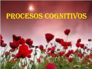 PROCESOS COGNITIVOS