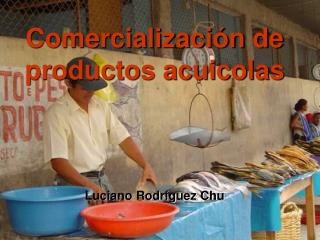 Comercialización de productos acuicolas Luciano Rodríguez Chu