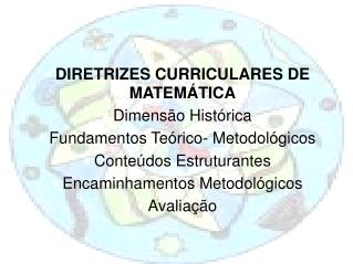 DIRETRIZES CURRICULARES DE MATEMÁTICA Dimensão Histórica Fundamentos Teórico- Metodológicos