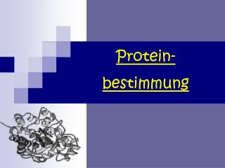 Protein- bestimmung