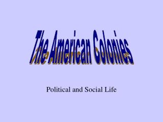 Political and Social Life