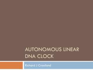 Autonomous linear DNA clock