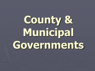 County &amp; Municipal Governments