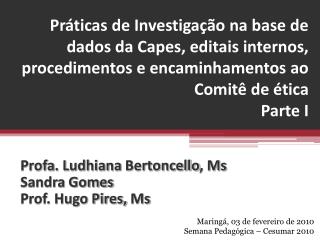 Profa . Ludhiana Bertoncello , Ms Sandra Gomes Prof. Hugo Pires, Ms