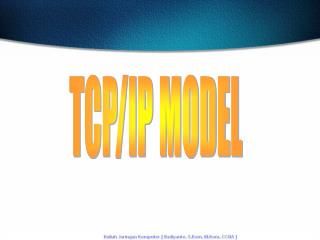 TCP/IP MODEL