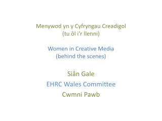Siân Gale EHRC Wales Committee Cwmni Pawb