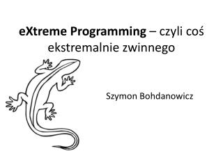 eXtreme Programming – czyli coś ekstremalnie zwinnego