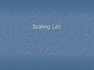 Scaling Lab