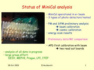 Status of MiniCal analysis