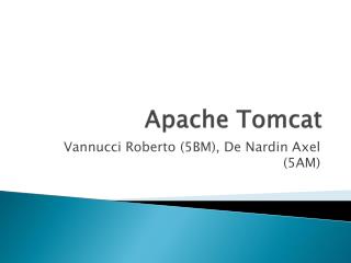 Apache Tomcat