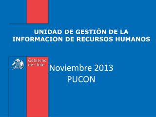 UNIDAD DE GESTIÓN DE LA INFORMACION DE RECURSOS HUMANOS Noviembre 2013 PUCON