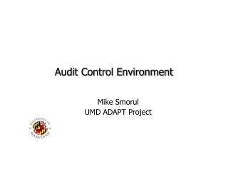 Audit Control Environment