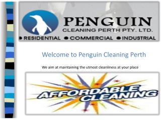 Penguincleaningperth