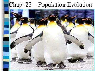 Chap. 23 – Population Evolution