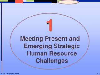 Meeting Present and Emerging Strategic Human Resource Challenges