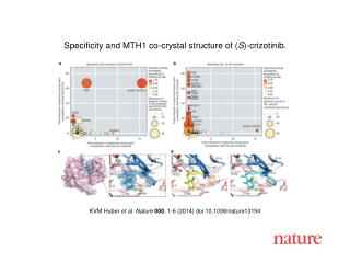 KVM Huber et al. Nature 000 , 1-6 (2014) doi:10.1038/nature13194