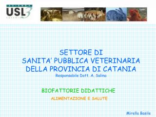 SETTORE DI SANITA’ PUBBLICA VETERINARIA DELLA PROVINCIA DI CATANIA Responsabile Dott. A. Salina