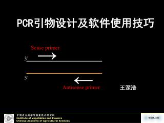 PCR 引物设计及软件使用技巧