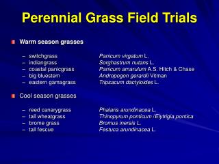 Perennial Grass Field Trials