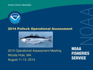 2014 Pollock Operational Assessment