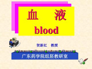 血 液 blood