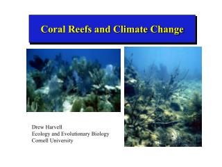 Coral Reefs and Climate Change