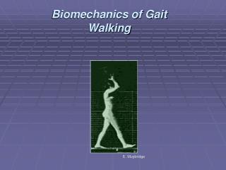 Biomechanics of Gait Walking