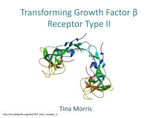 Transforming Growth Factor β Receptor Type II