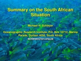 Summary on the South African Situation Michael H. Schleyer