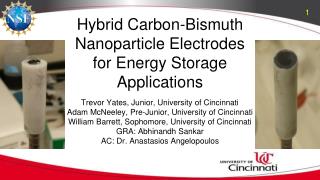 Hybrid Carbon-Bismuth Nanoparticle Electrodes for Energy Storage Applications