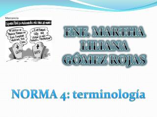 NORMA 4: terminología