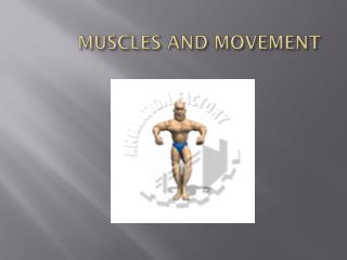 MUSCLES AND MOVEMENT