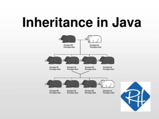 Inheritance in Java