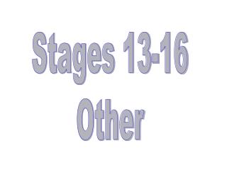 Stages 13-16 Other