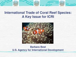 International Trade of Coral Reef Species: A Key Issue for ICRI