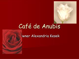 Café de Anubis