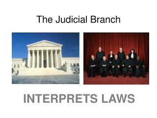 The Judicial Branch